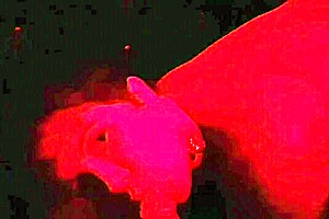 I had sex with her for a whole night