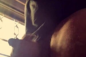 Lluvia De Penes Unleashes Wild Outdoor Slave Action