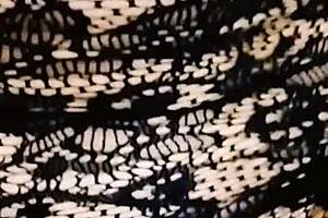 i'm a milf dancin' and gettin' big dick in my holes