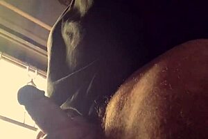 Lluvia De Penes Unleashes Wild Outdoor Slave Action