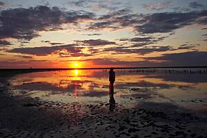 i took a walk on the red sunset of elton salt lake.