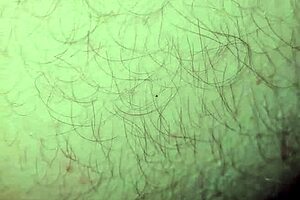 Milf eagerly sucks and licks my ass in close detail