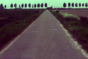 Skinny MILF is fucked in ass by two masked intruders