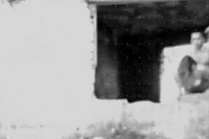 melissa pitanga seduces perseu dotado in beauty salon for taboo anal