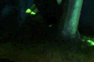 does kingdinglong get a bbc gumjob from a mature white cougar?