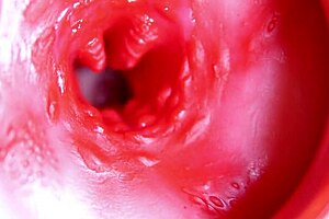 Чувак, этот большой красный член заполняет сочную дырочку, готовую взорваться в любой момент!