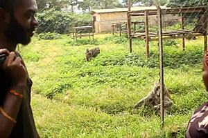 Two Tourists Cross Paths In Park For Unexplored Adventures