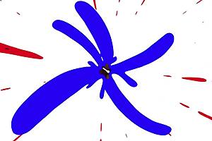 Housewife Fuck Neighbour Xxx