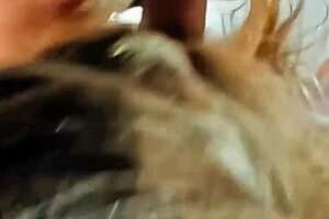 Milf Latina Gives Real Homemade Blowjob To Construction Worker