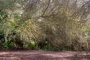 excursion with my stepbrother on the mountain