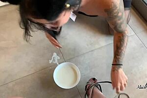 my pet kitten does everything i tell her to do