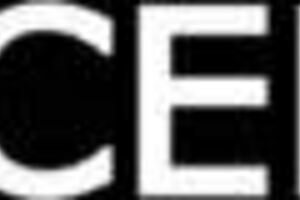 New Method to Resolve Family Issues with Stepmom and Stepsis