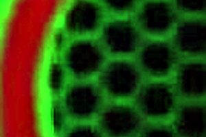 Sara Jay fucks PAWG Ryan Conner on the pool table?