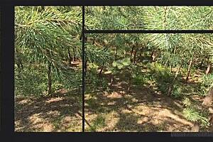 Cum in My Pantyhose After Intense Public Rubbing