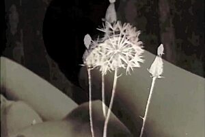 Vintage taboo granny fanny foursome.