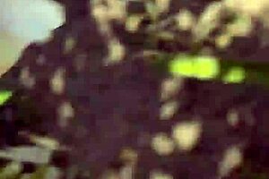 Started with a free SFW pornlog, ended up with kinky public orgasm from this sexy blonde milf.