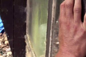 can a brunette milf handle two monster cocks in a forest threesome?