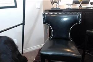 Oriental Dildo Princess Maxine X Plays With His Sex Toy Collection