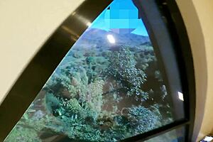 Uncle fucks me on cabin while others swim