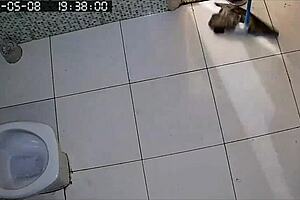 Hidden Camera Catches FAT BBW Neighbor SHAVING Her BIG PUSSY in Bath!