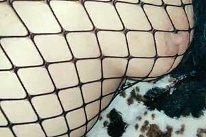 Look at These Gaping Ass Holes