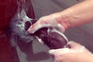 big step sister teases step brother's monster bbc secretly