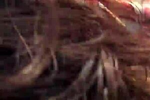 amateur housewife gives blowjob and doggy fuck in the bush! 😏