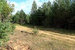 Hot Milf In Nature In Holey Tights!