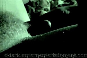 Dark Lantern Presents Stiff As A Poker: Erotic Confessions Of Victorian Gentleman With Hairy Pussy