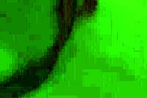 hot monika fox showers with big tits