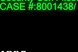 圣诞精灵和圣诞奶奶偷东西被抓狂肏