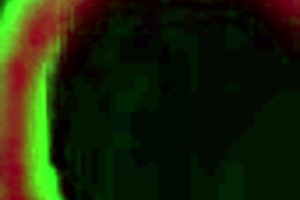 Lisa Tiffian gets her ass rammed by Rome Major in fishnets! 😏