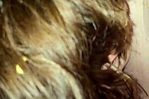 Granny Blows Cock Deeply