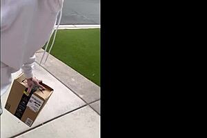 hot cougar crashes into neighbor to lure him in her house - ethan seeks - richelle ryan