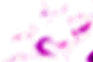 milf didevi takes balls deep anal, gapes, swallows