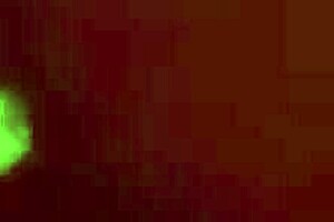 first time anal with this big ass latina