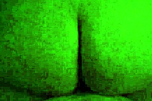 wife bouncing on cock reverse cowgirl in slow motion with wet pussy