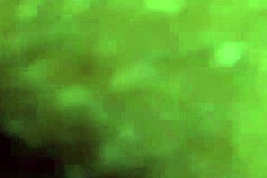 the black guy fucks my ass and cum drips everywhere