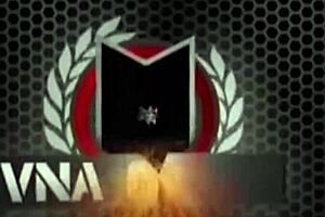 sunny lane posing in lingerie