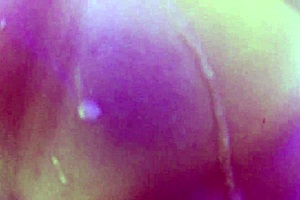 best step mom pov experience