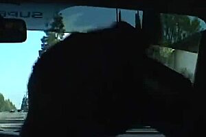 Fucking brunette milf india summer