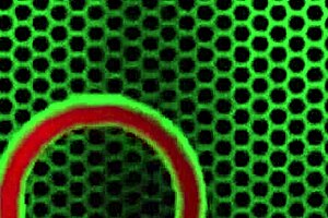 Seductive tale of a mature woman unfolds