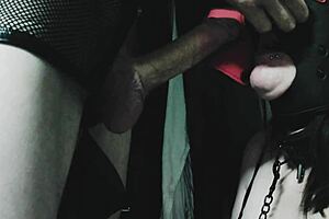 Coming Soon Trailer for Discipline and Sucking