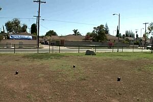 fucking brunette milf piper austin hard