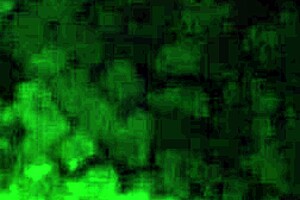 Renatinha Mello in public street scene