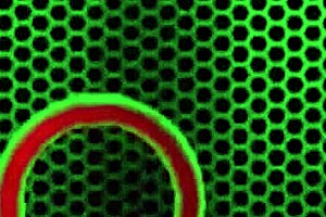 i-i cum hard from sunny lanes solo scenes