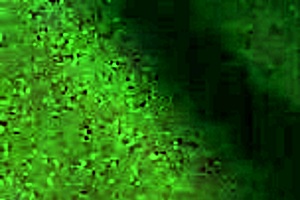 Ex heather moore sucks my dick deepthroat until i cum in her mouth.