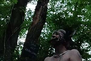 sexy ponygirl slave moans during bondage in forest