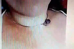 twetty says want some milf action?