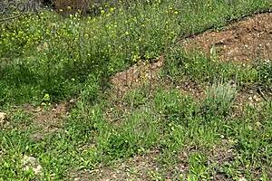 美国游客在沙特阿拉伯遇上性玩具经销商，提供二手假阳具